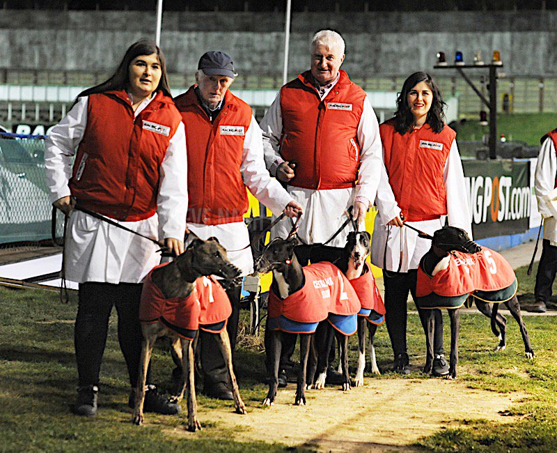 SteveNashPhotos's tweet photo. Prob my favourite pic of the week: 3 generations of O'Sullivan family parading their 4 Springbok finalists @centralparkdogs @bosullivan123 https://t.co/wuLJjzXrhN