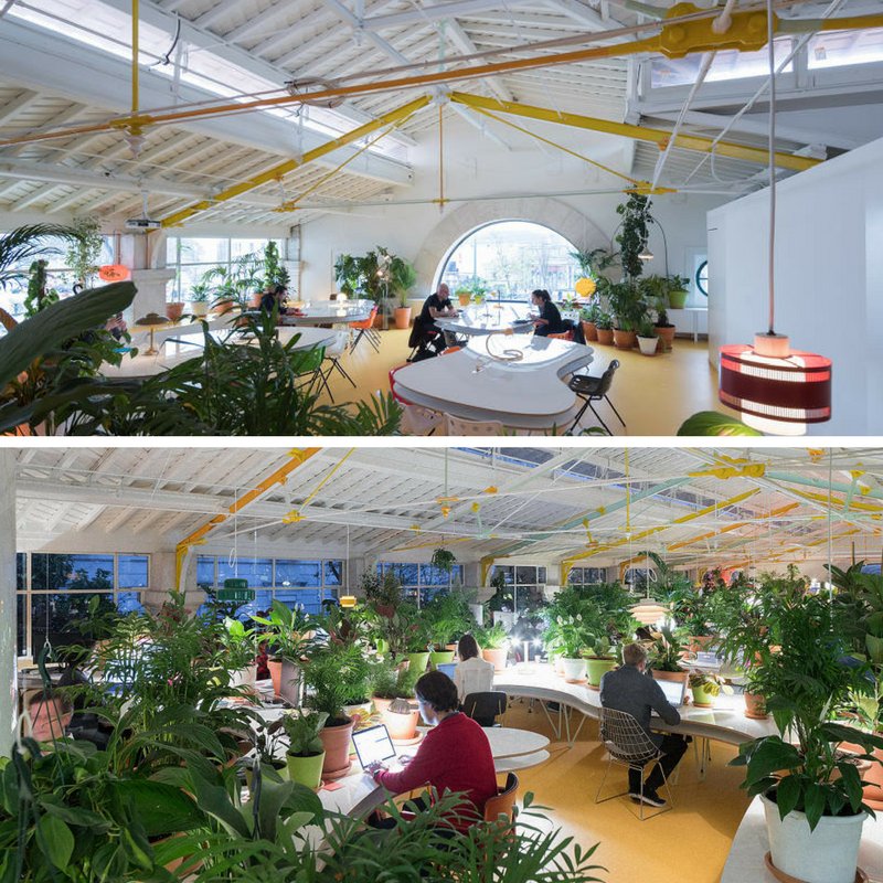 OEGInteriors's tweet photo. With over 2,000 plants in their #office, @SECONDHOME_IO have taken #biophilicdesign to a whole new level - what do you think? https://t.co/3WSkvdt1d7
