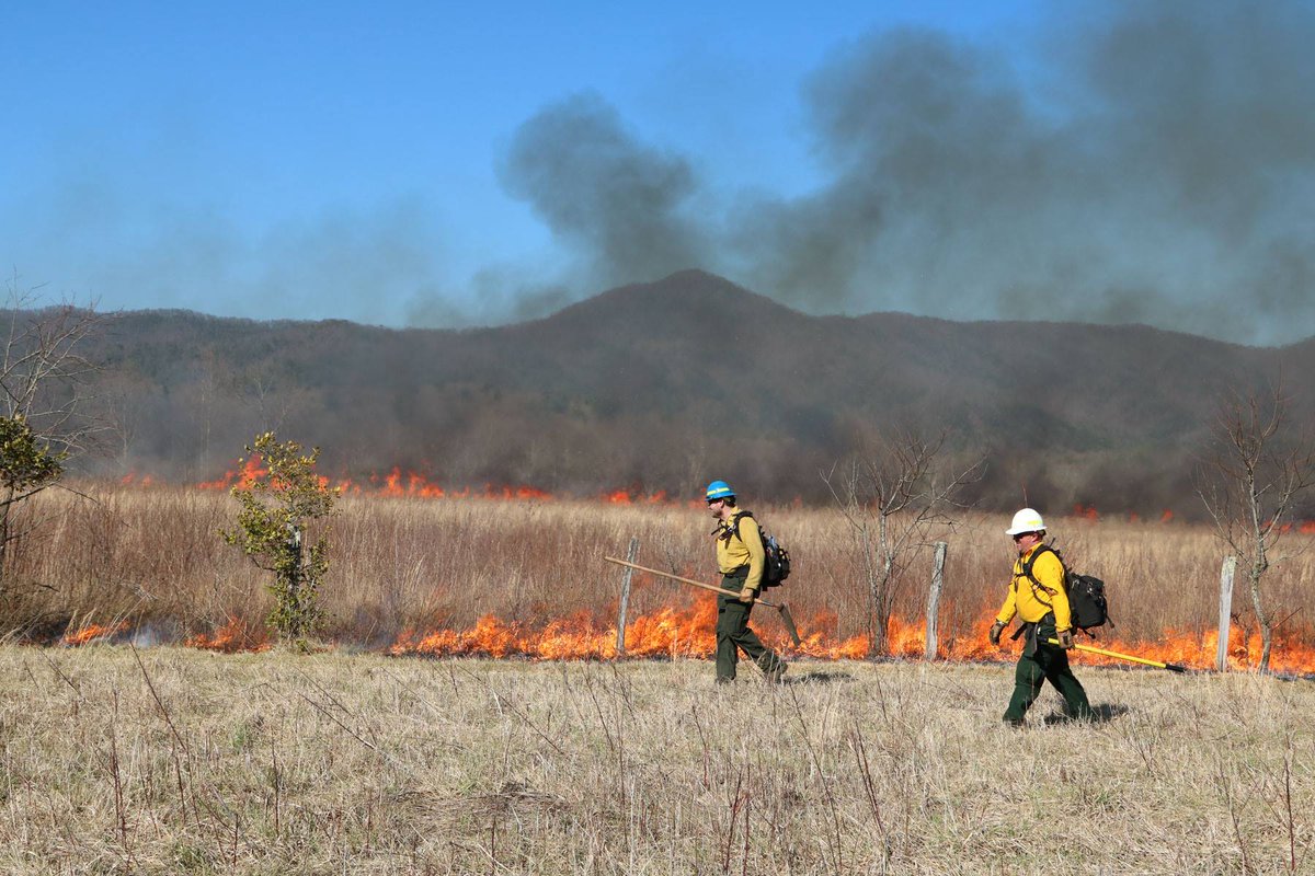 FireAviationNPS's tweet photo. #RxFire in Cades Cove @GreatSmokyNPS continues. Crews burned 110 acre Tipton-Oliver Unit yesterday #FuelsManagement #GoodFire https://t.co/ZdoXubRNzc