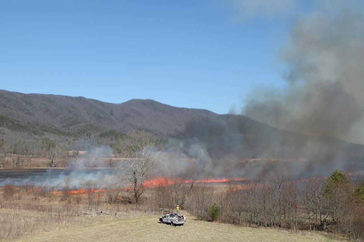 FireAviationNPS's tweet photo. #RxFire in Cades Cove @GreatSmokyNPS continues. Crews burned 110 acre Tipton-Oliver Unit yesterday #FuelsManagement #GoodFire https://t.co/ZdoXubRNzc