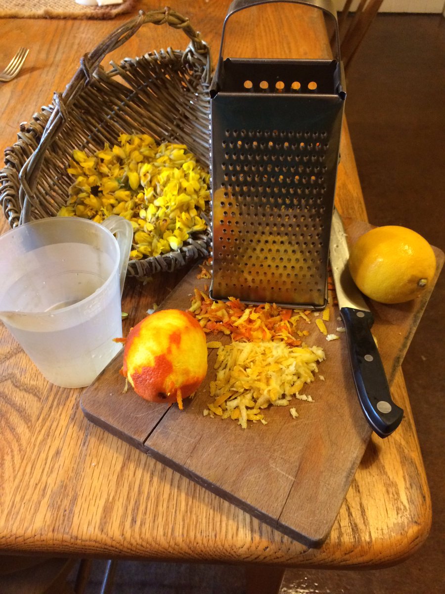blackstairseco's tweet photo. Making Gorse Flower Cordial. @mistereatgalway @Laroussefoods @EurotoquesIrl @Wells_House #foraging #borris #borris #funinthewild https://t.co/GrZV6VSzkz