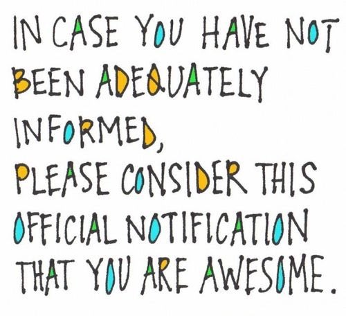 BadatYusuf's tweet photo. In case you don't know! 

#internationaldayofawesomeness https://t.co/WJ0sjF9pqI