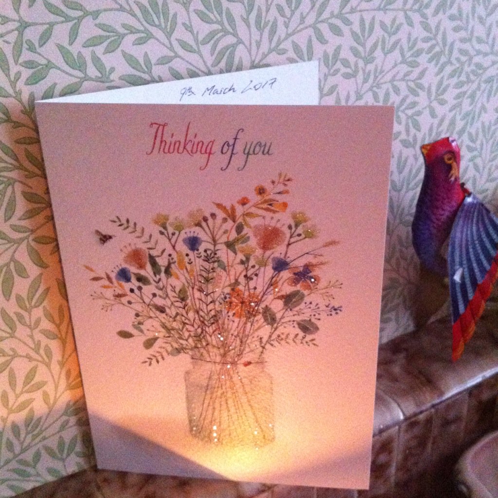 PomPomWhippet's tweet image. Wez gets da sparkley card fwom MrsBertie @BertieRace Fank yoos, lika magenpies me mum luvs da sparkles *nods*