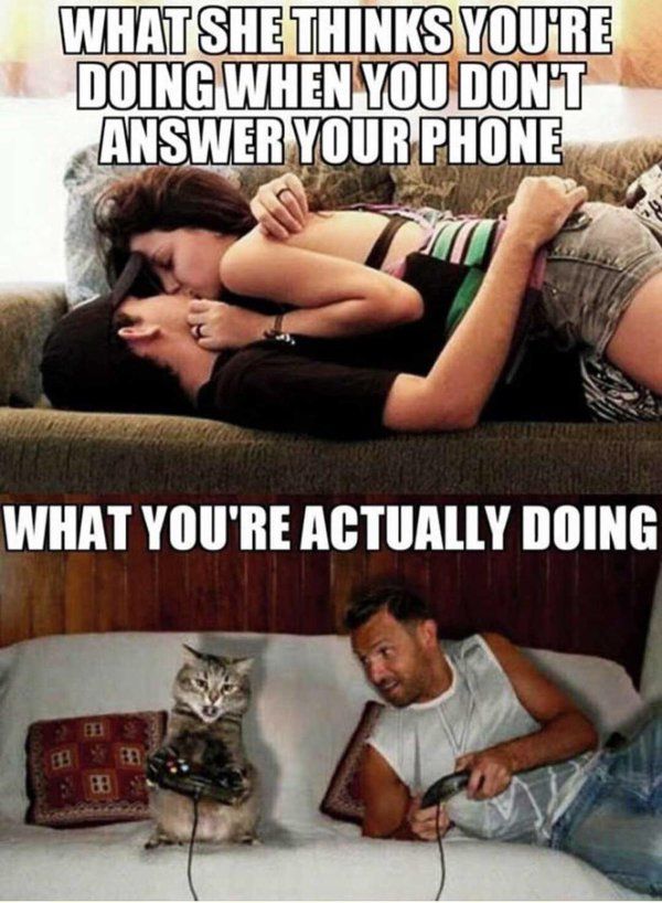 CauseWereGuys's tweet photo. No need to worry https://t.co/TnIuGLr6Mf