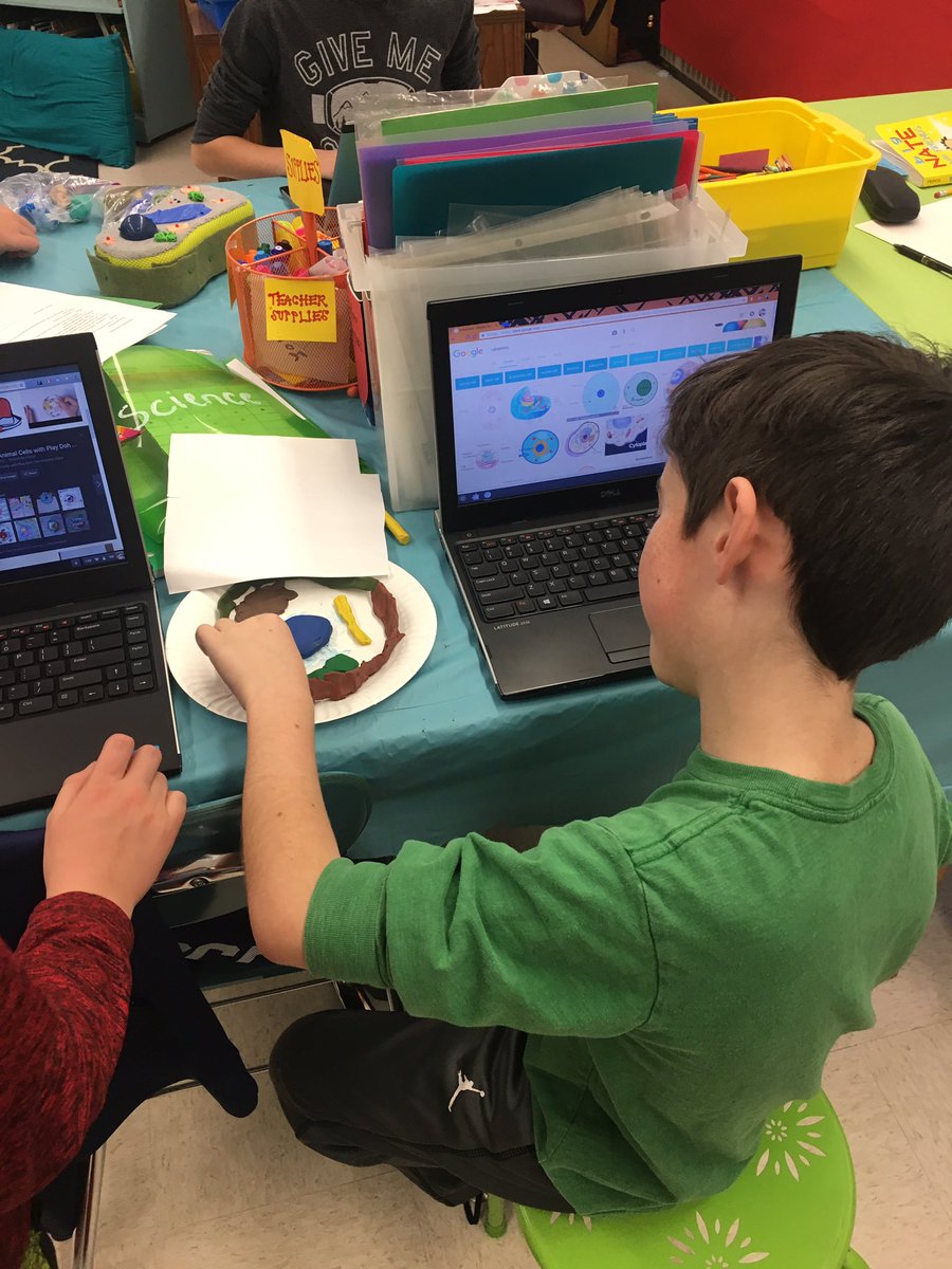 Kate Maguire tweet media