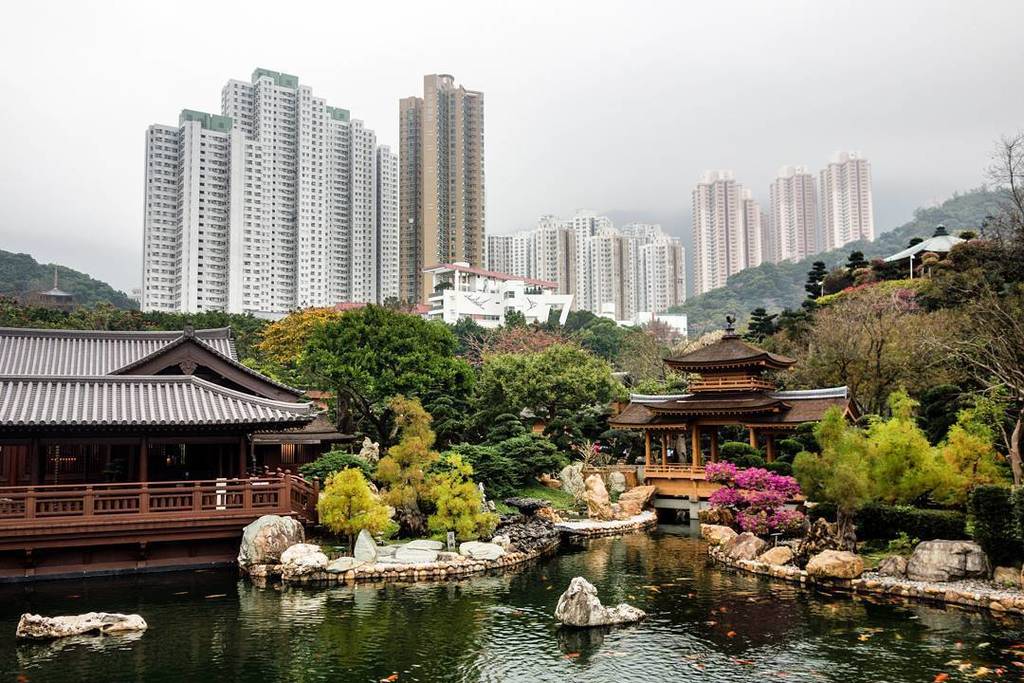 Trailtourist's tweet photo. Love this contrast. The calm of the garden vs. the crowded city. #hongkong #garden #trailt… https://t.co/mBKews5Swr https://t.co/SxO17znMZM