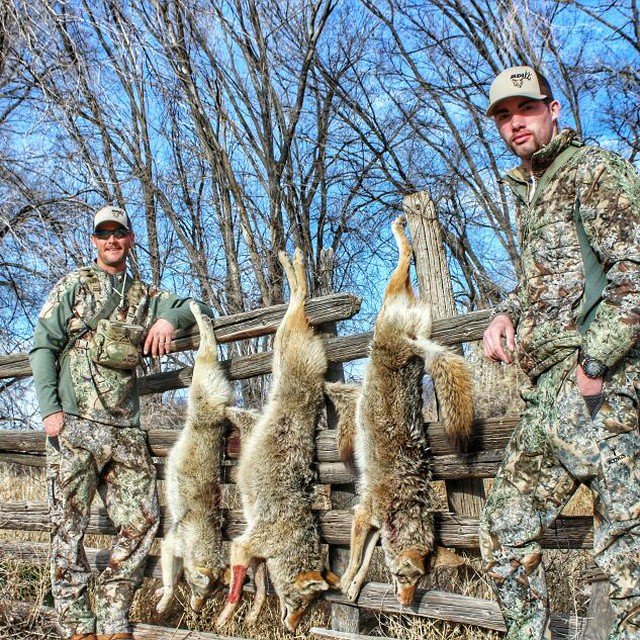 Garrett Johnson and Colten Gillum keeping their coyote game going strong! #muledeerinsurance #coyotesniper #kingscamo #xkgseries