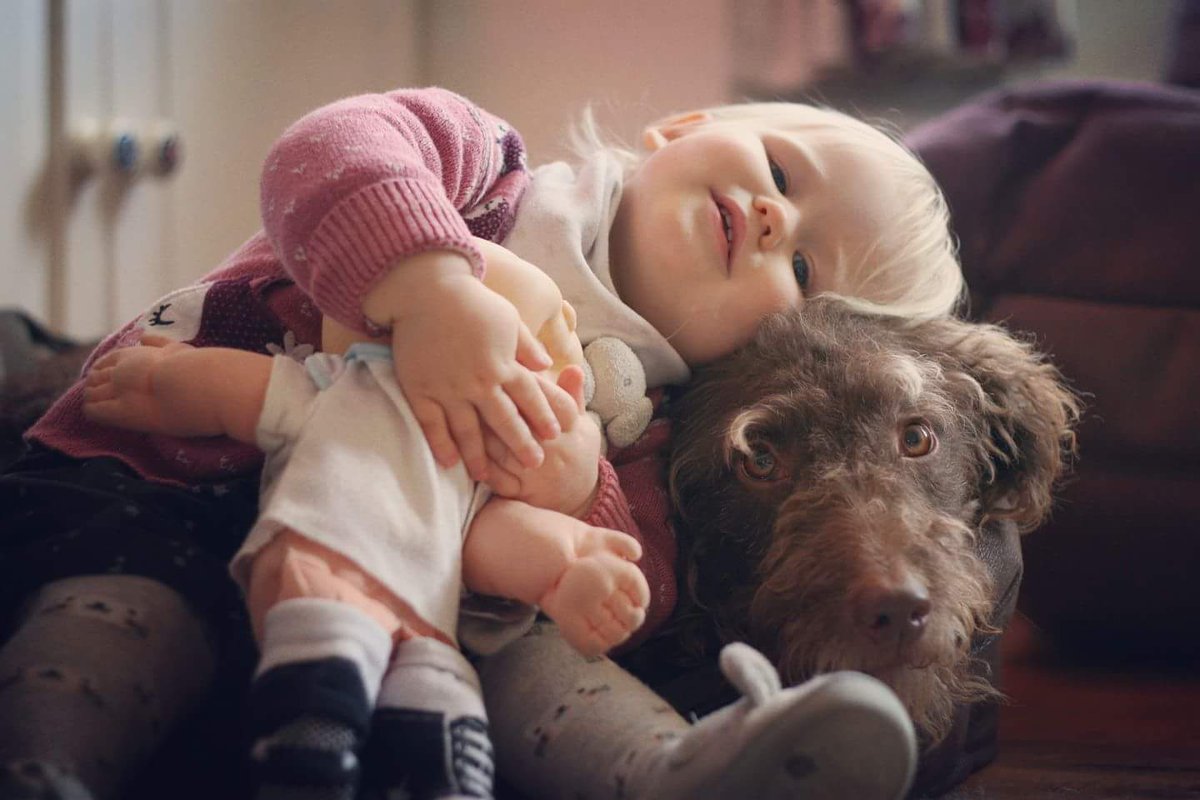 DogaboutBath's tweet photo. My big sister has nearly been with us for two whole years now. She's not that bad I suppose. 😍 https://t.co/8C8KLR4LCh