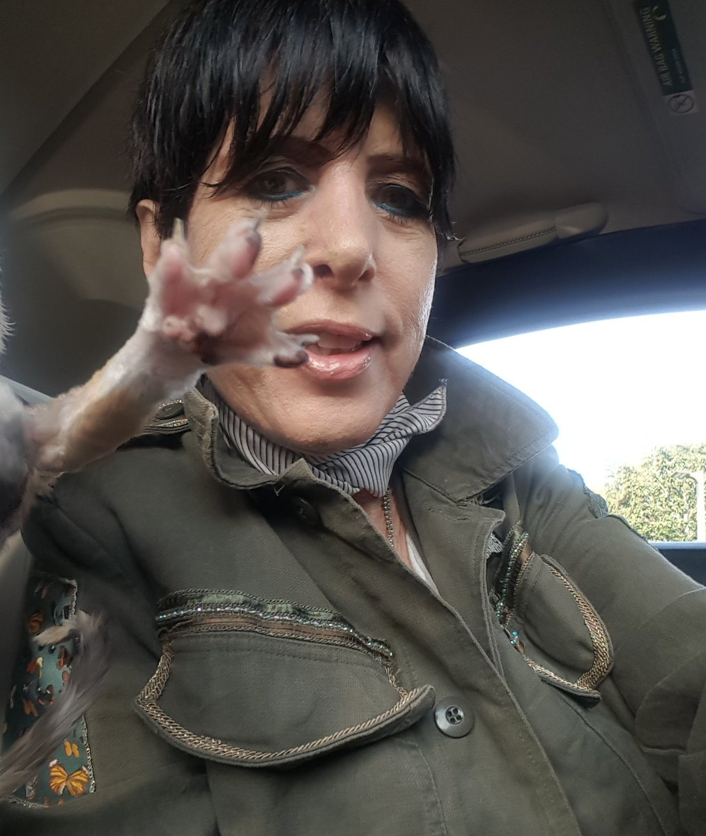 Diane_Warren's tweet photo. Claws r out today! https://t.co/lEF6nWKkPo