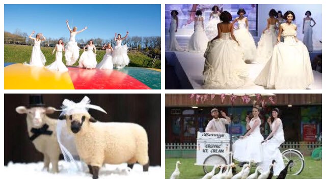 North Devon's biggest wedding show this Sunday 12th March FREE ENTRY for Brides prebook thebigsheep.digitickets.co.uk/category/2035 🎩💍