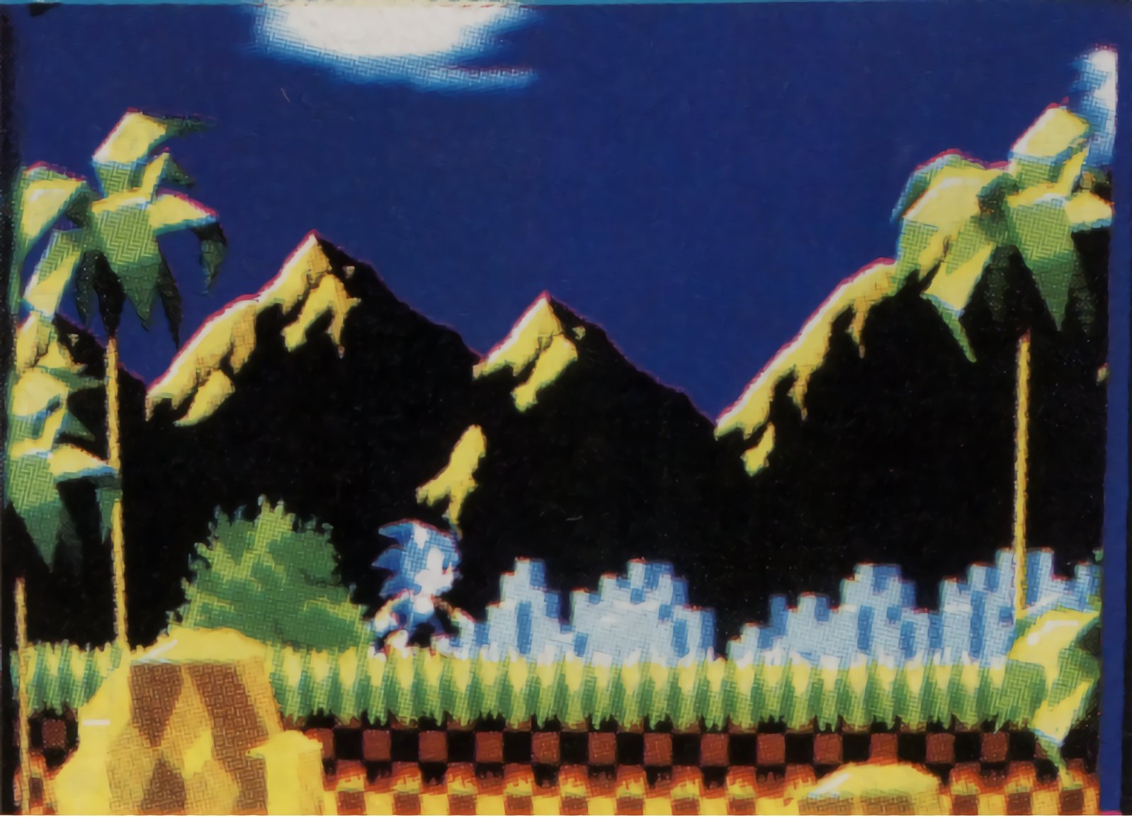 Sonic the Hedgehog Green Hill Zone Painting 