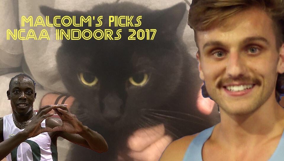 Runners & Cats tweet media