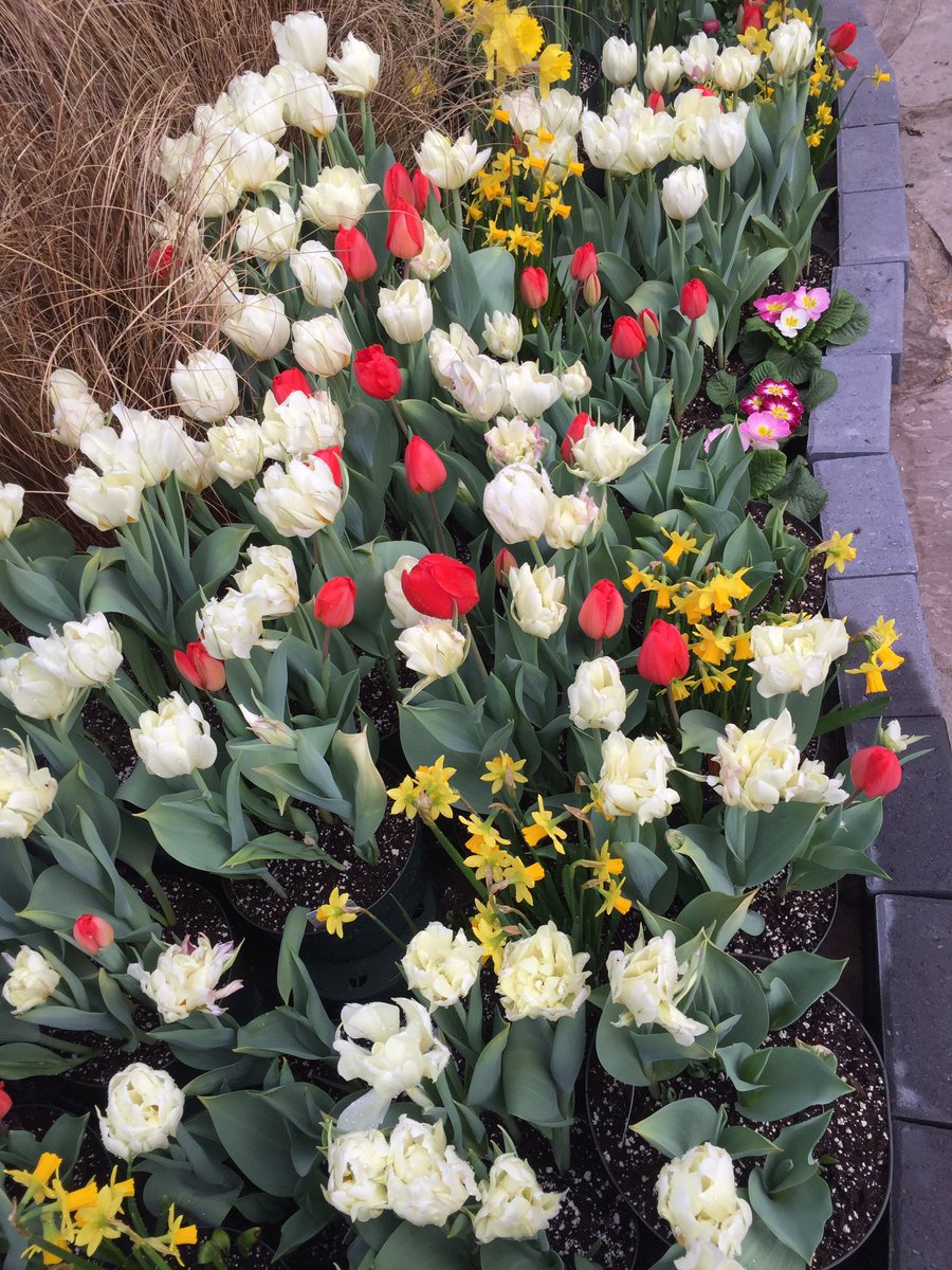 Thank you Neil Schofield for the wonderful tour at the Greenhouse in <a href="/gageparkhamont/">Gage Park Hamilton</a>! <a href="/cityofhamilton/">City of Hamilton</a>