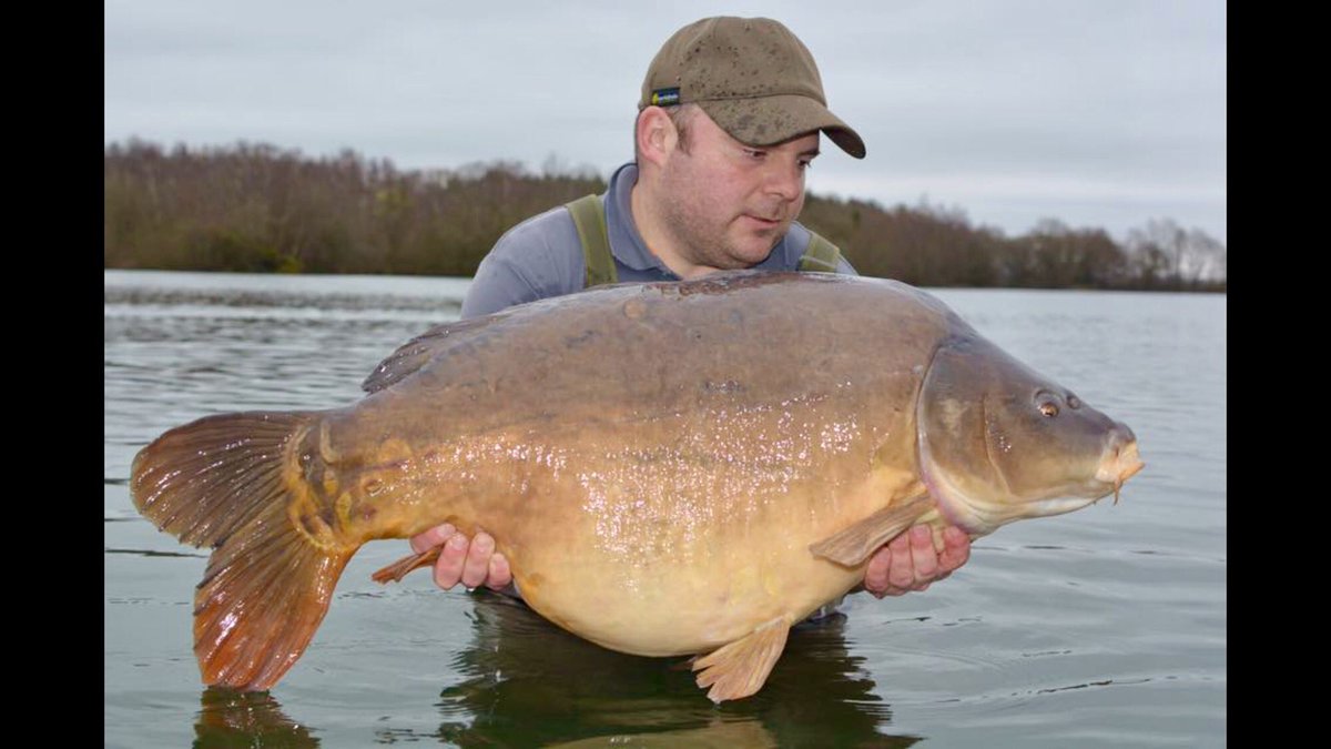 ClintBullo's tweet photo. This fish drop in the net today @ 51lb2oz on B5 https://t.co/70PBCwdg81