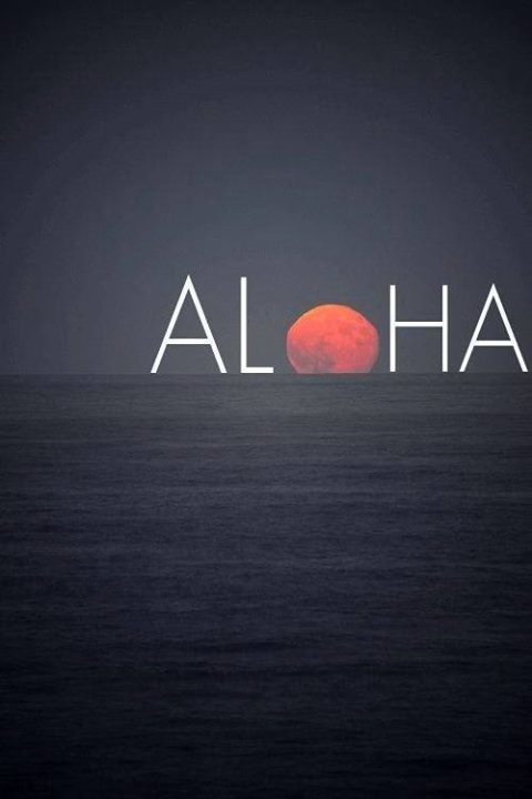 travelquotation's tweet photo. #wanderlust #travelquotes https://t.co/6I1w3yxNl5