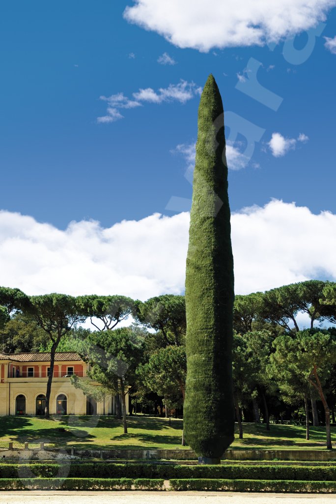 Even in an elegant #italian garden, our Cypress #antenna guarantees the best functionality harmoniously with the #environment 🌲📶 #Tlc #Telco
