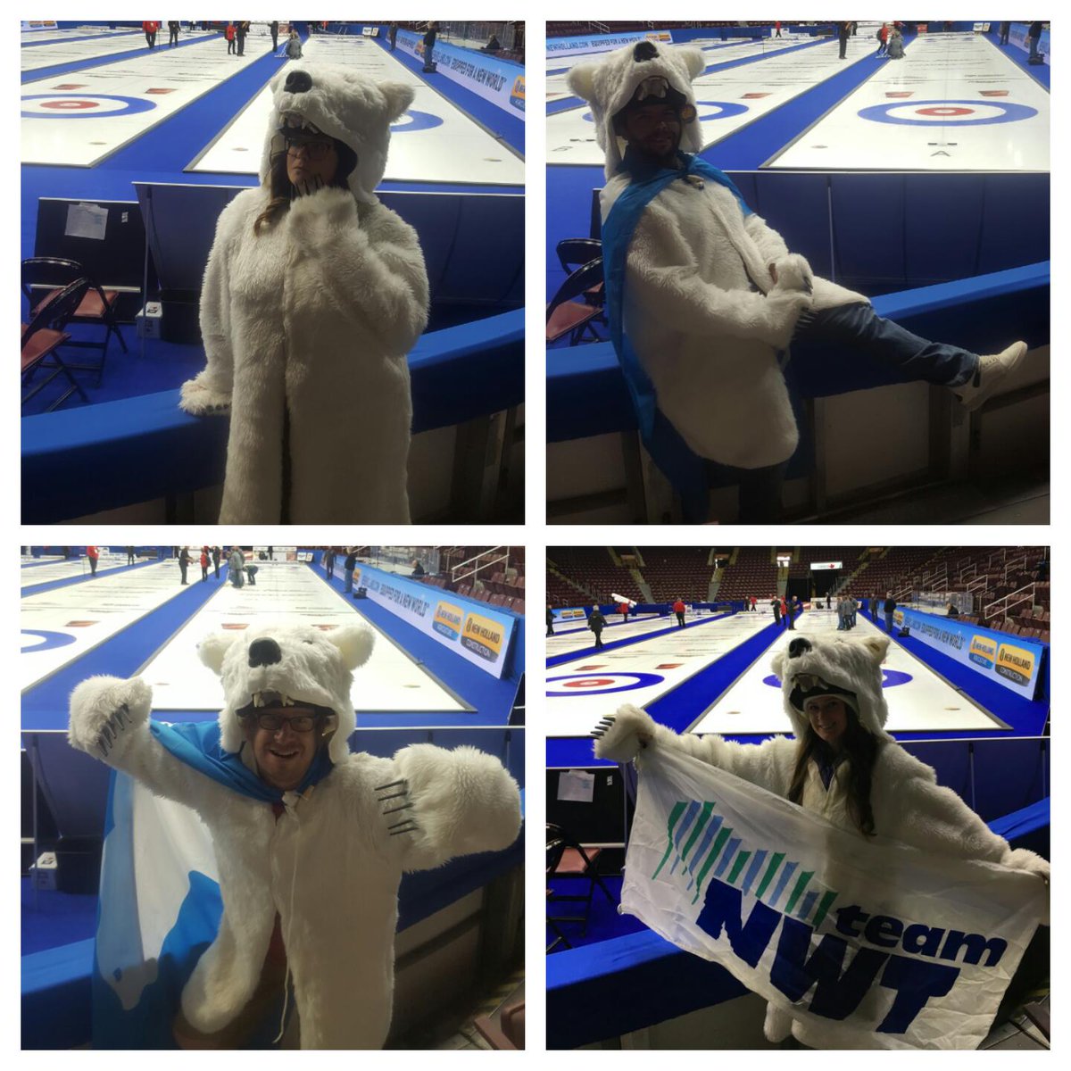 PolarBrier's tweet photo. Photoshoot time for the bears.
#Brier2017 #polarpower
#thinkingbear #sexybear #attackbear #teambear https://t.co/xRg2sDo3uH