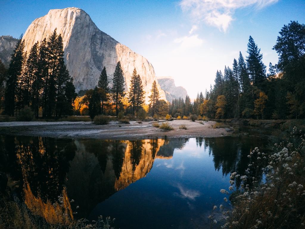 GoPro tweet picture