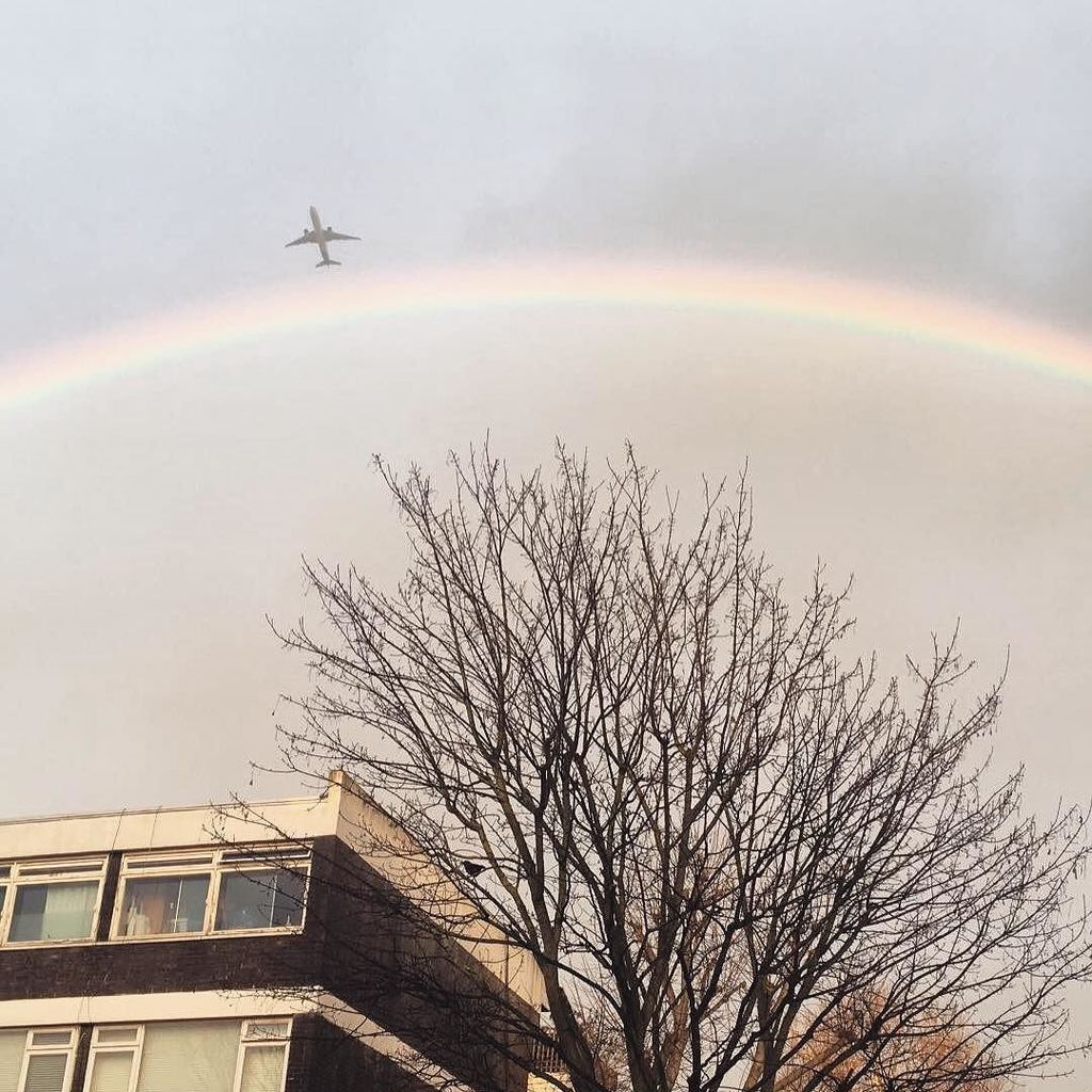 #rainbowplane ✨ ift.tt/2nnbiOL