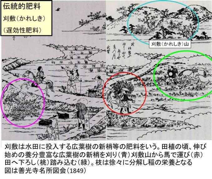 伊那谷から Morinosophia 刈敷 の検索結果 Twilog 伊那谷から Morinosophia 刈敷 の検索結果 Twilog