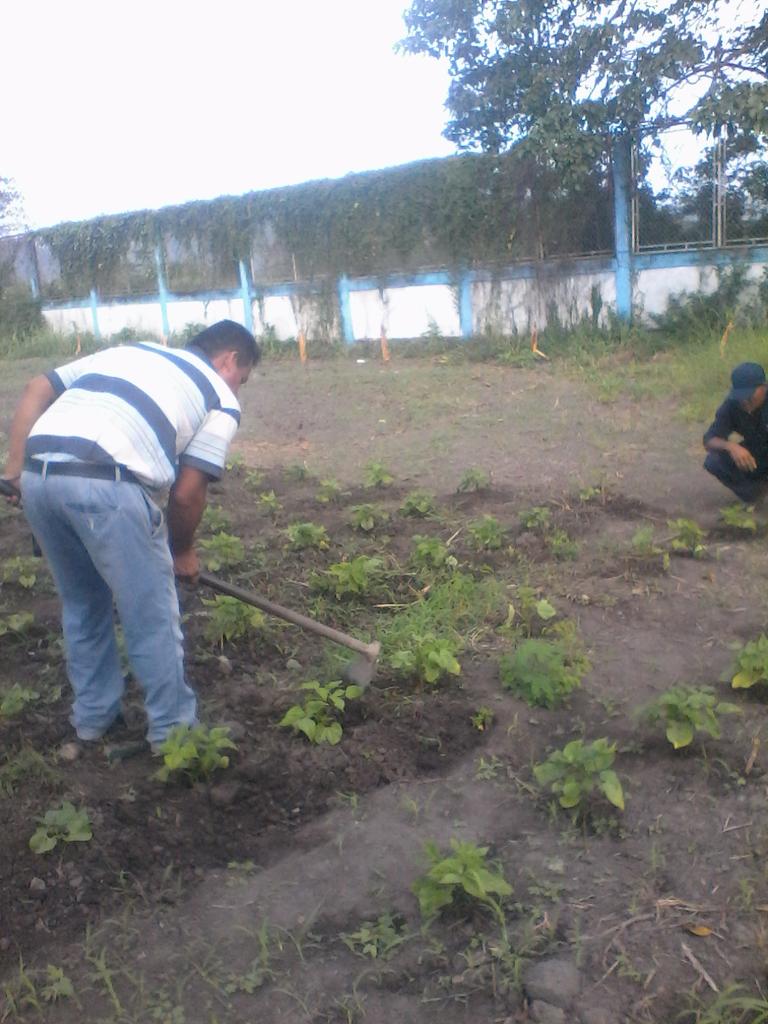 endogenomontes's tweet photo. @SaIaSucre . @SalaEducacion Plan siembra 500 en acción montes estado sucre https://t.co/CHlKnI7arw
