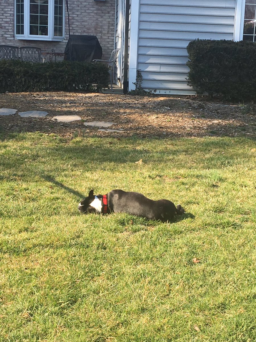 chiara_huber's tweet image. in the span of 24 hours... #pennsylvaniaproblems