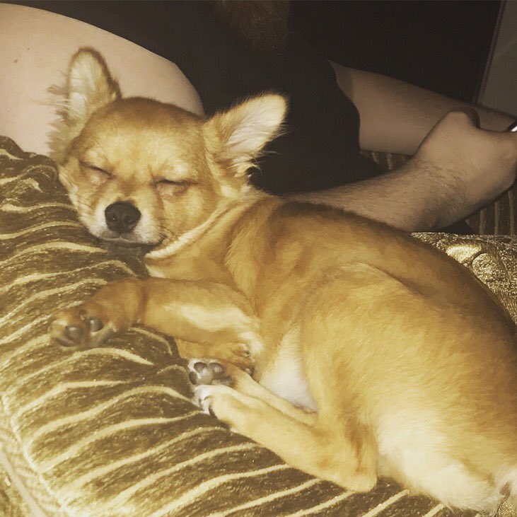 Little_Kel's tweet image. Night guys xo 💤