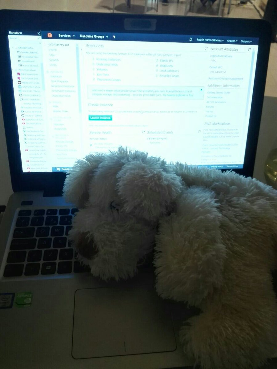 disleXapp_HFG's tweet photo. #HackForGood la mascota del equipo se une al desarrollo https://t.co/D5kgULuyz9
