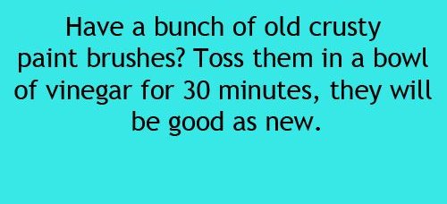 crazyartsupplie's tweet photo. Paint brush tips https://t.co/8c9kut1uhp