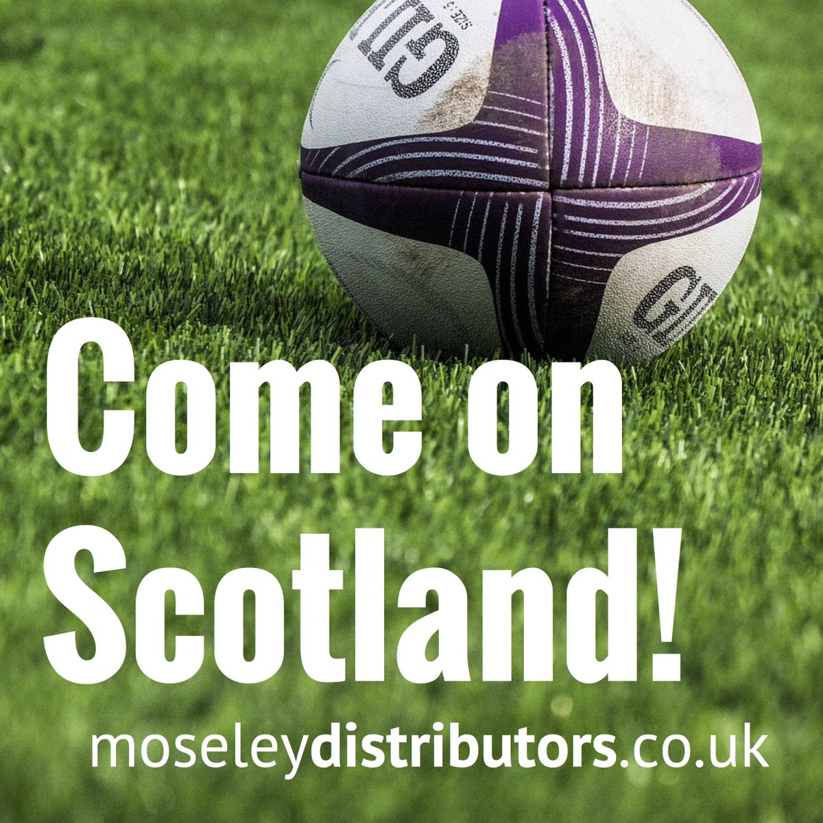 Moseley Distributors tweet media