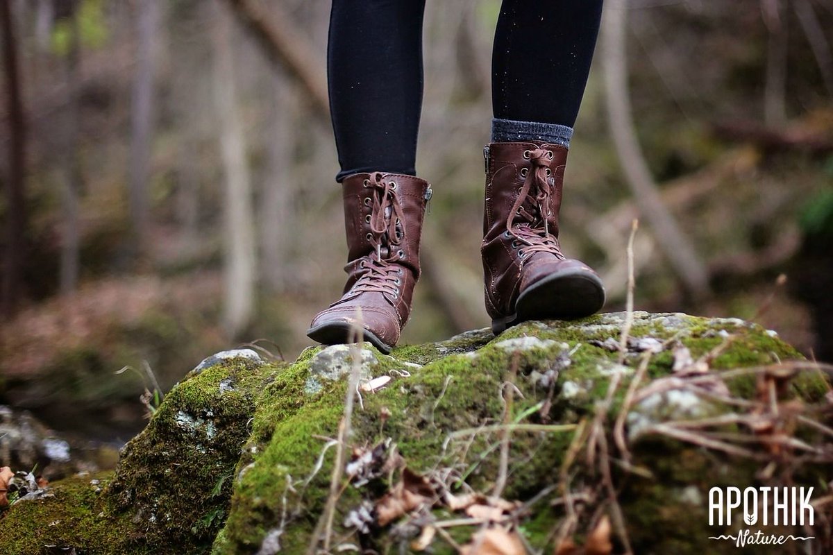 ApothikNature's tweet photo. "Everywhere is walking distance if you have the time." Steven Wright #quote #fridayfeeling #optoutside https://t.co/BcXR6LiXp7
