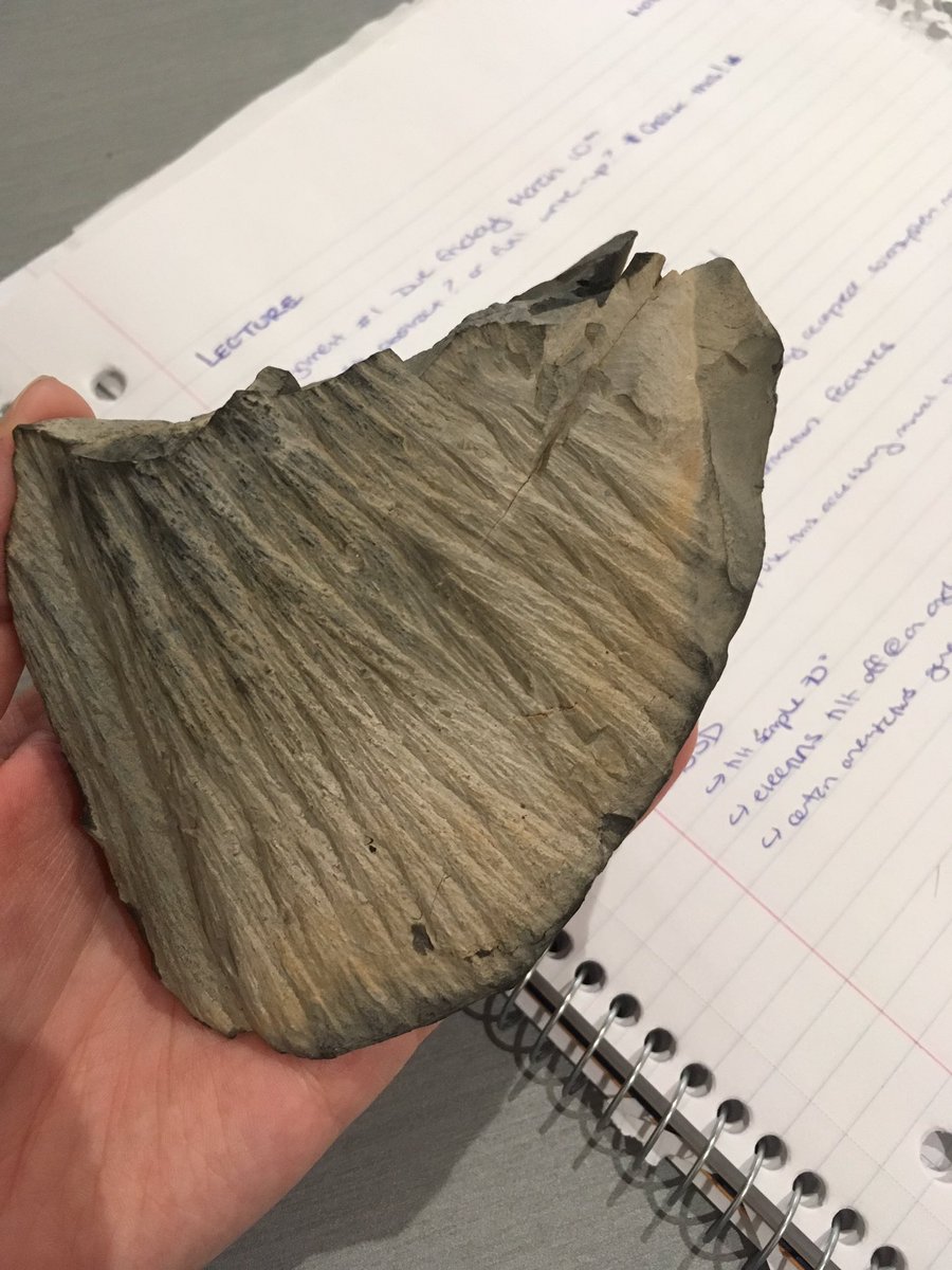 T_Kizovski's tweet photo. The second best type of cone (ice cream cones are numba 1!) #shattercone #ROMxUofT https://t.co/jYQMiFYuB8