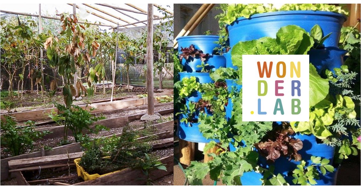 Watch #ChakritaLab transform our #Greenhouse - We aspire to be self-sufficient in food production, #FarmToTable in just a few steps!