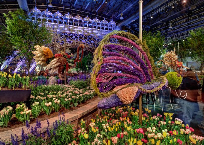 LifeAtFox's tweet image. Check out Temple's landscape architecture &amp;amp; horticulture students at the Philadelphia Flower Show on March 11!
events.temple.edu/temple-univers…