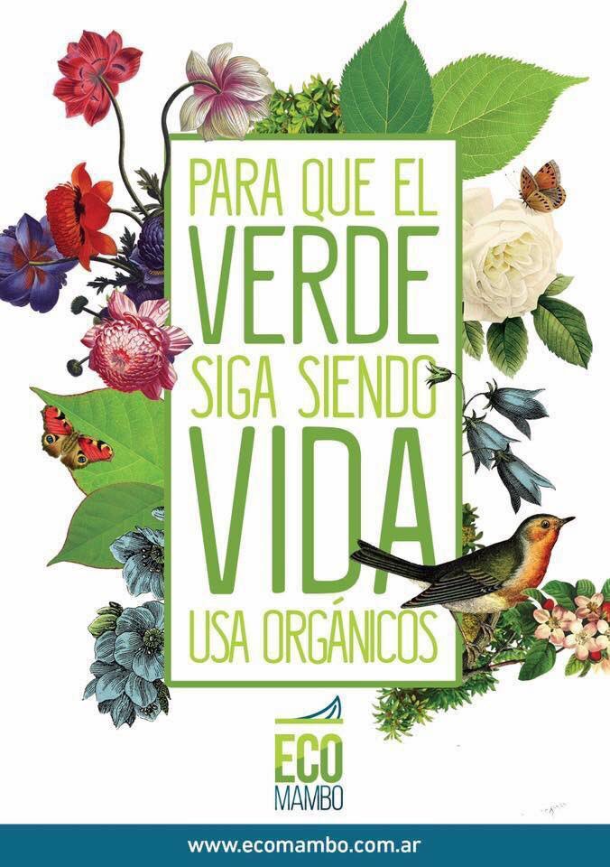 Ecomambo's tweet photo. Súmate al #mamboEcologico  .  Súmate a #Ecomambo y síguenos  en las redes sociales https://t.co/xSeYpYPG4D