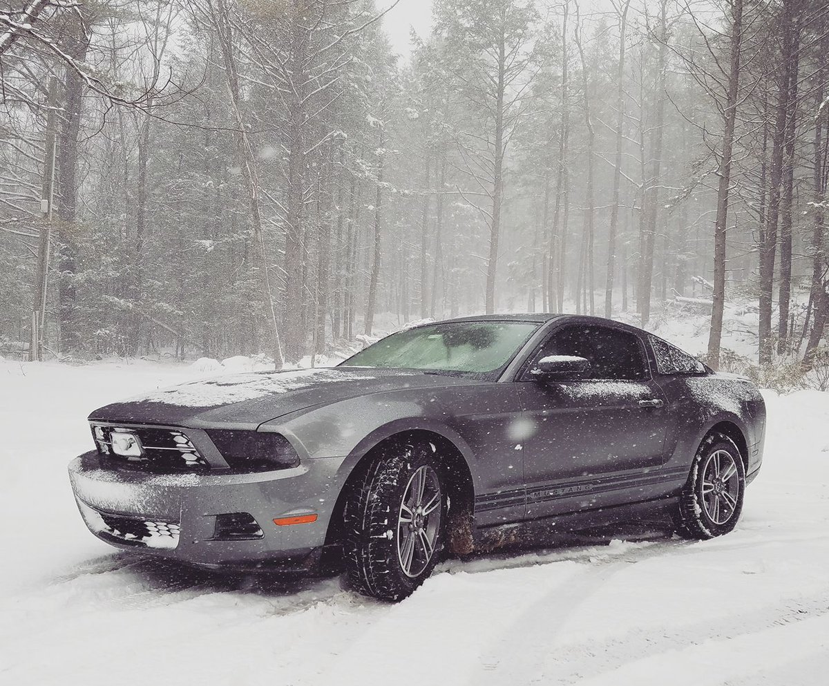Ford Mustang On Twitter The Abominable Snowman Does Exist Ford Mustangverified Account