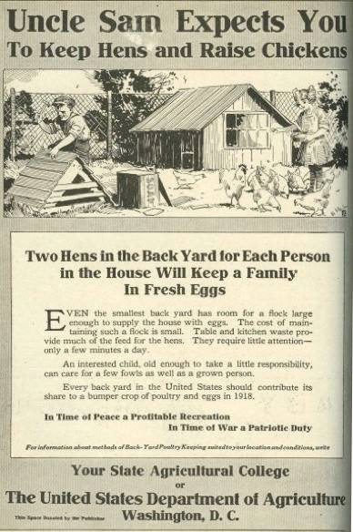 Elsewhere_Farm's tweet image. 1918 Department of Agriculture Advertisement #homesteading #chickens #poultry