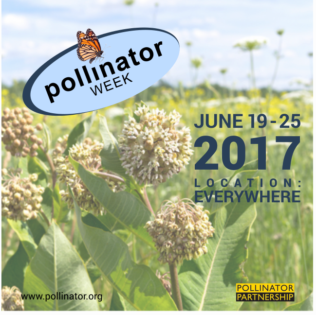 The countdown is on! Only 100 days till #PollinatorWeek! Get involved at pollinator.org/pollinatorweek/