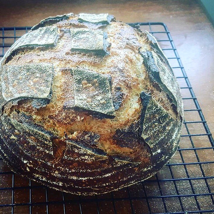 Paisley Fig tweet media