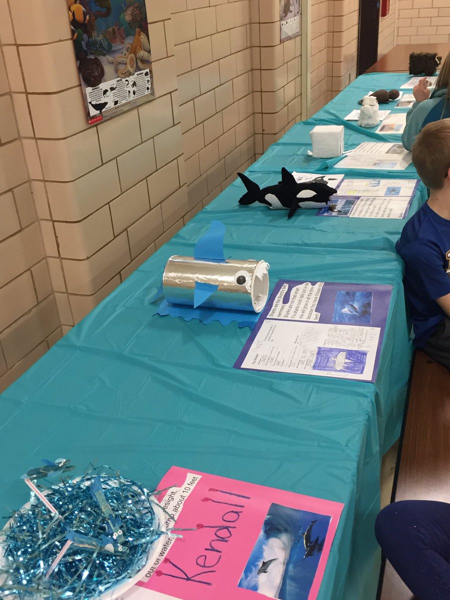 abbybrunsml's tweet photo. More pictures from the 1st Grade Zoo#melemflyerpride https://t.co/cvnXaFQKTd