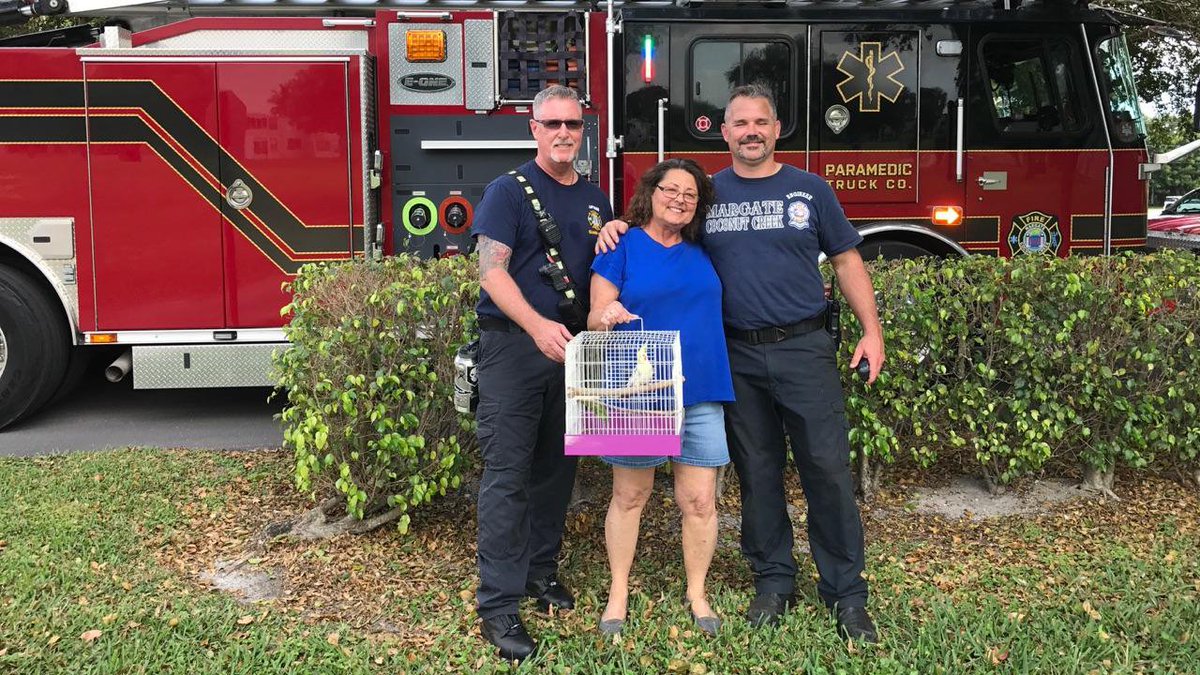 S. Fla. firefighters called to help rescue a bird stuck in a tree. You read that correctly bit.ly/2msEGEe https://t.co/ezSDV5guDe