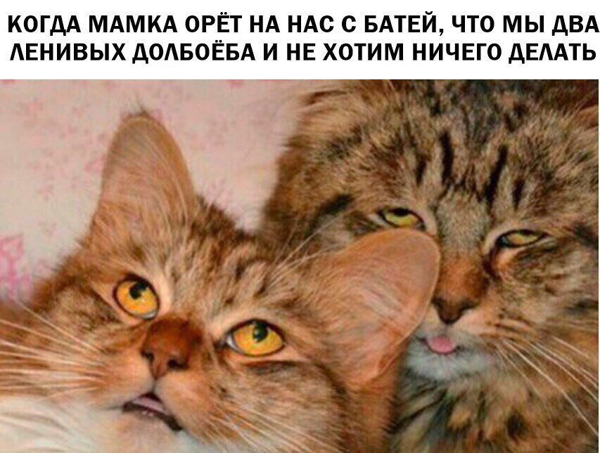 C6la0d6XAAArYdk.jpg