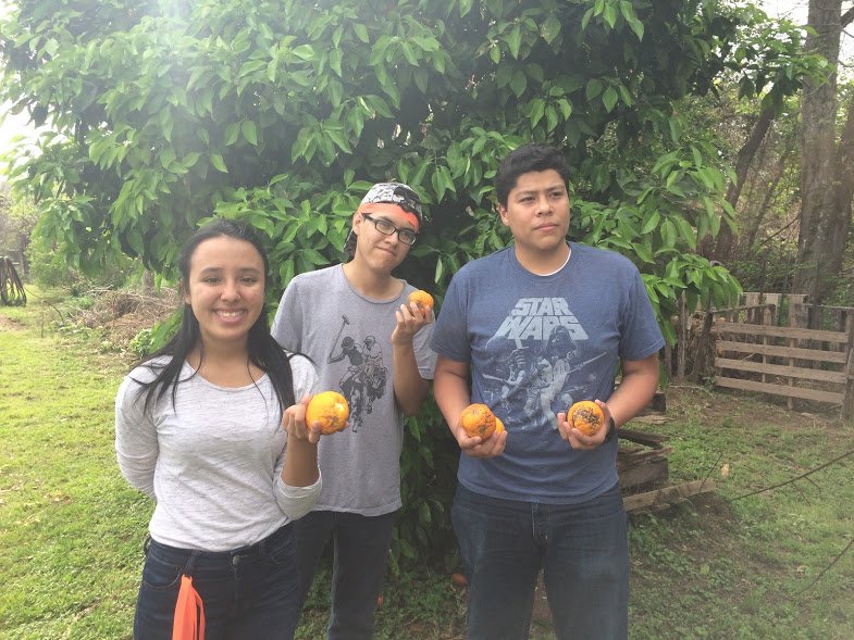 Kaci Farr tweet media