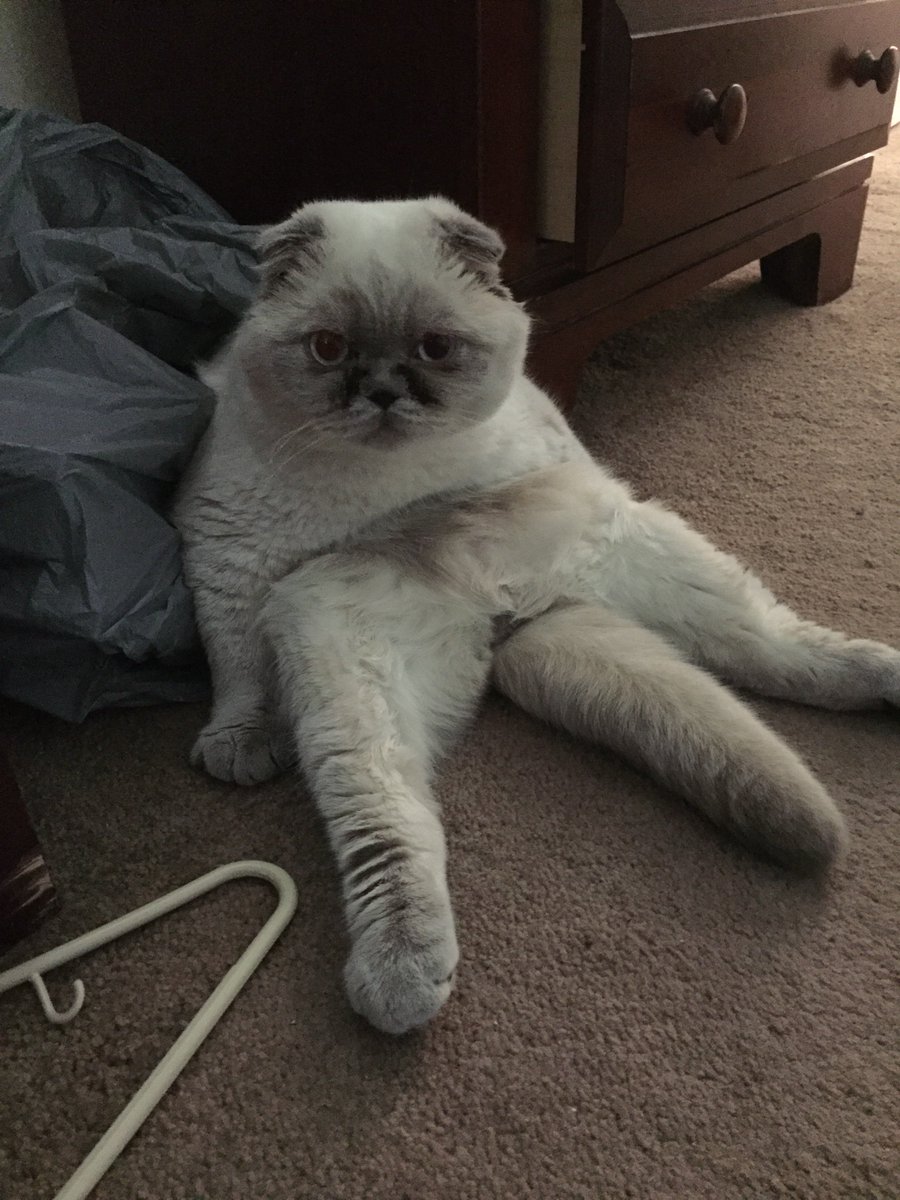 182Jl's tweet photo. @ellentube @TheEllenShow 
Prince Harry wants to know if you love him too? https://t.co/A9Pu2sXvTF
