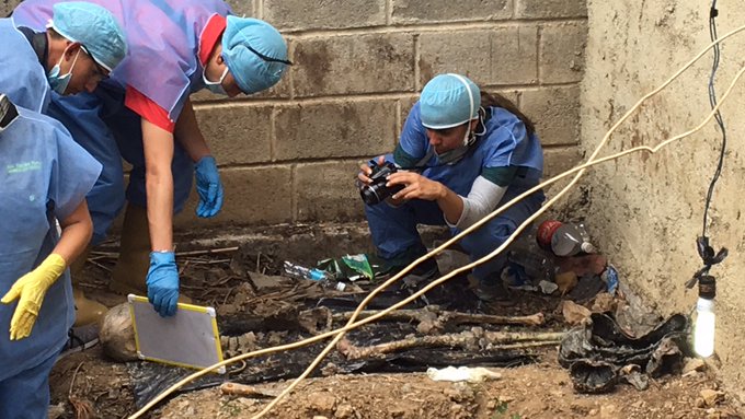 Ver imagen en Twitter