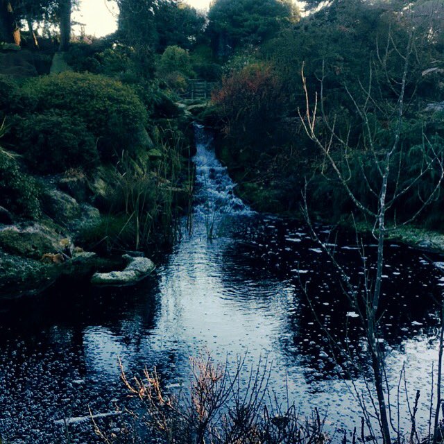 CowellRebecca's tweet photo. Edinburgh. #scotland #waterfall #nature #kingfishercreeping https://t.co/PhTElIOvFT