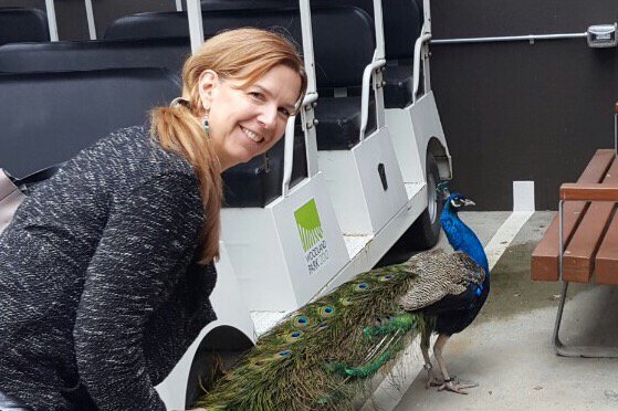 MegBostrom tweet media