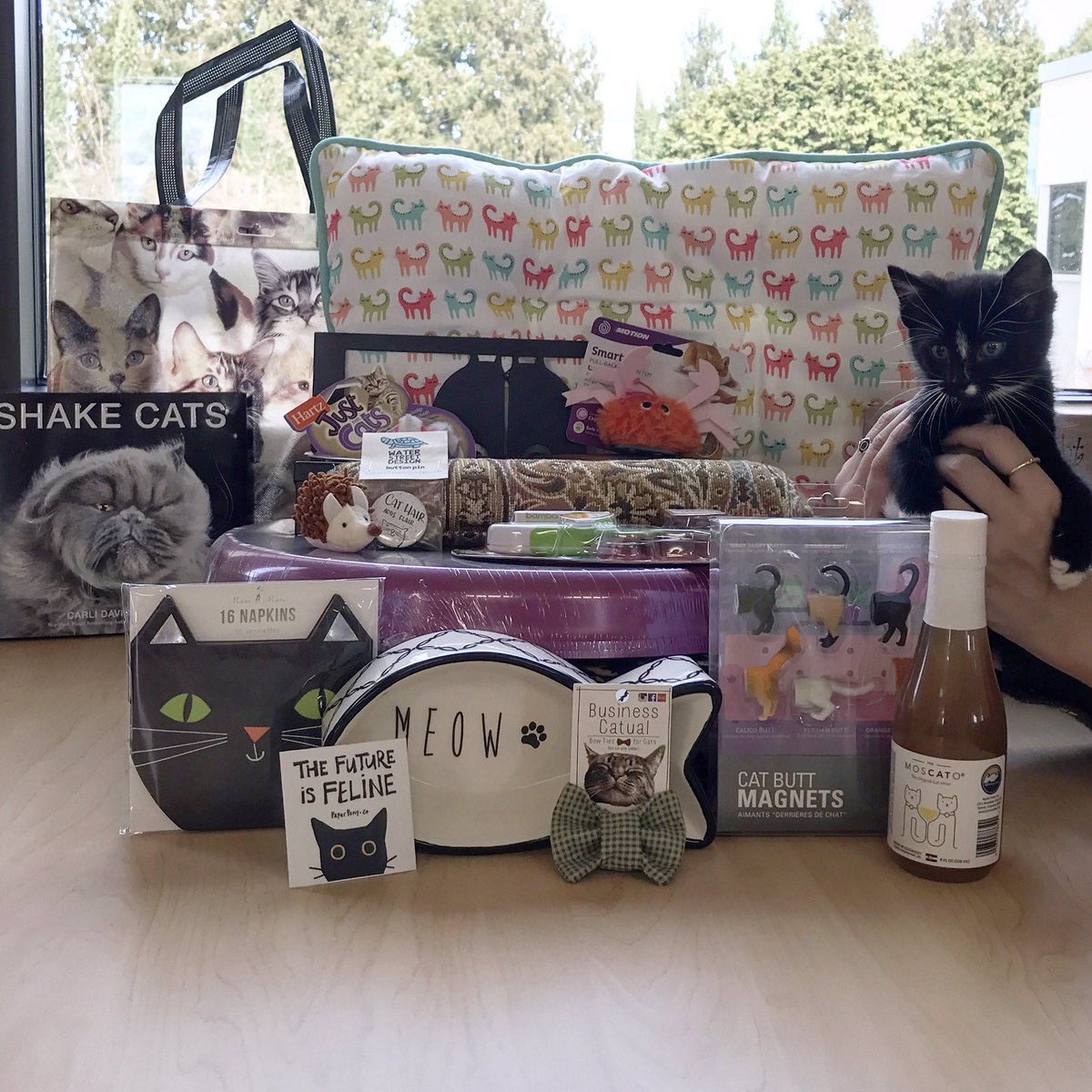 OregonHumane's tweet photo. WIN these cat goodies at the OHS booth at #OregonCatVideoFestival this Sat! Details: https://t.co/TnXWuxCIV8 #cats #kittennotincluded https://t.co/mVrjaQNPpK