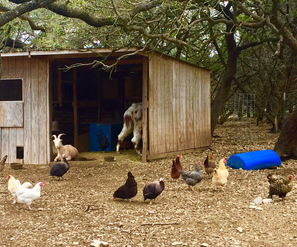 Questology On Twitter We Just Got To Austin For Sxsw It S