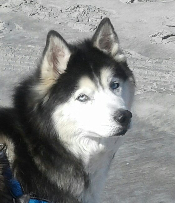 prinkitty16's tweet image. I love that you are following me and my Mommy....she LOVES CUTE BABYS💗